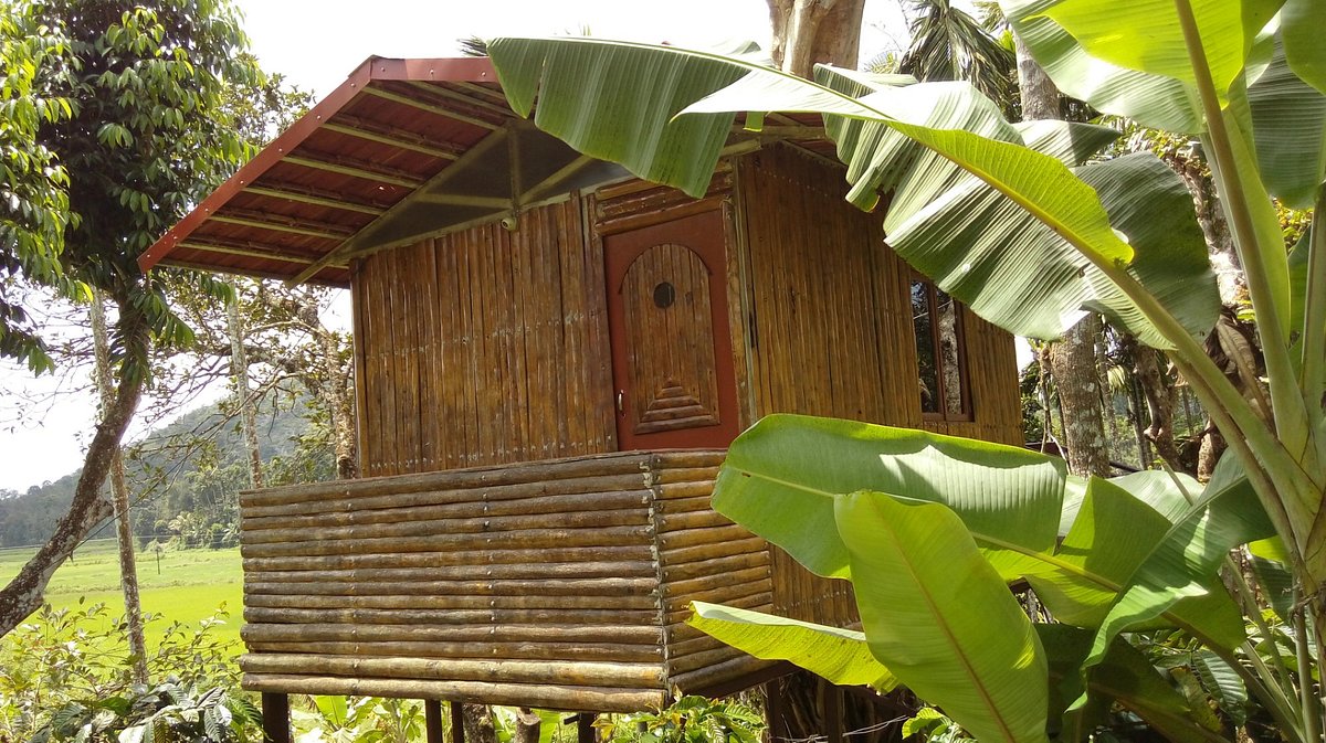 Top 5 Homestays in and Its Specialties