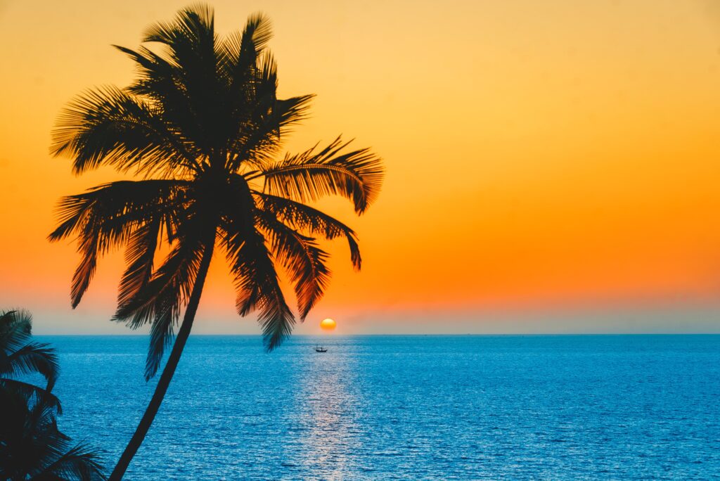 Beauty of Goa