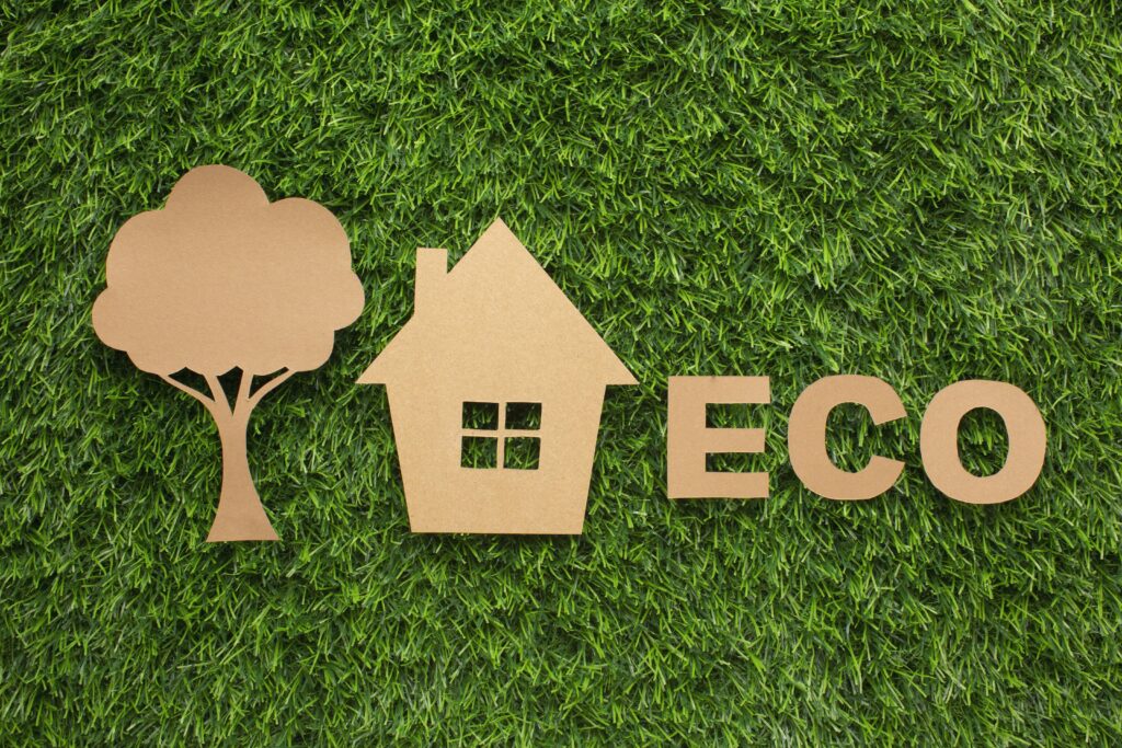 Eco-Friendly Homestays in Wayanad