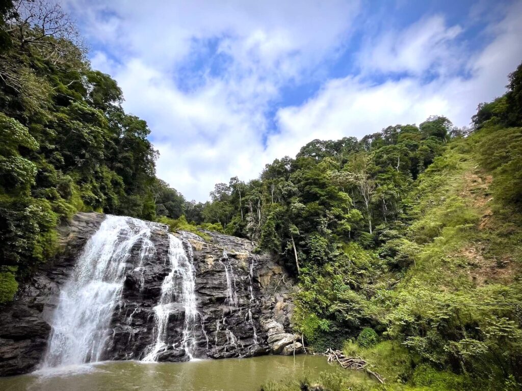 Abbey Falls in Coorg
